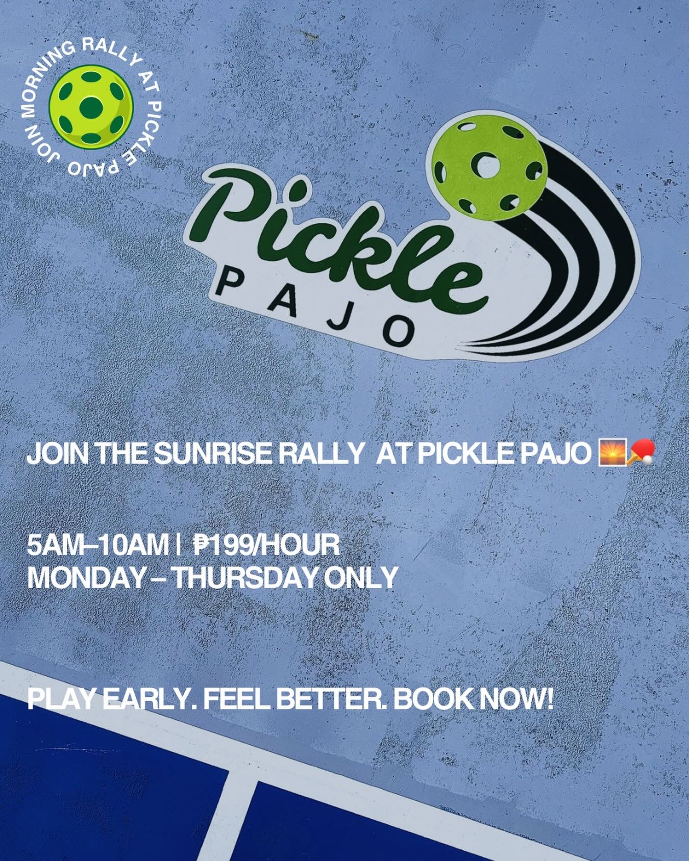 Pickle Pajo photo 2