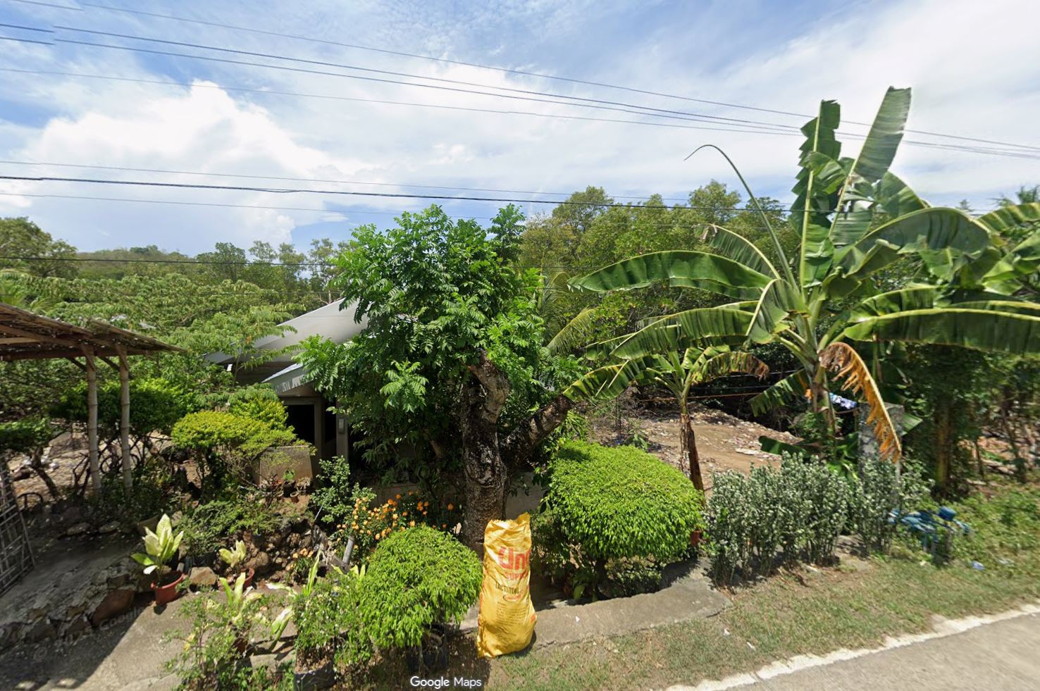 Bunal Zone and Bonsai Cafe